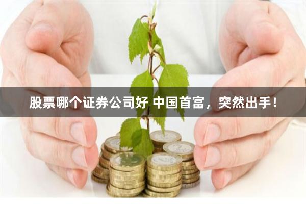 股票哪个证券公司好 中国首富，突然出手！