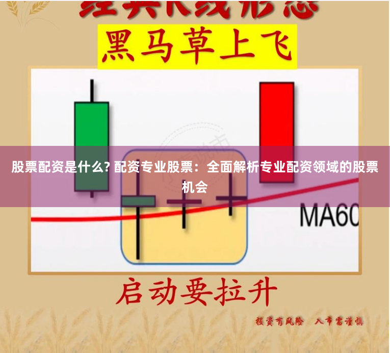 股票配资是什么? 配资专业股票：全面解析专业配资领域的股票机会