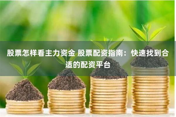 股票怎样看主力资金 股票配资指南：快速找到合适的配资平台