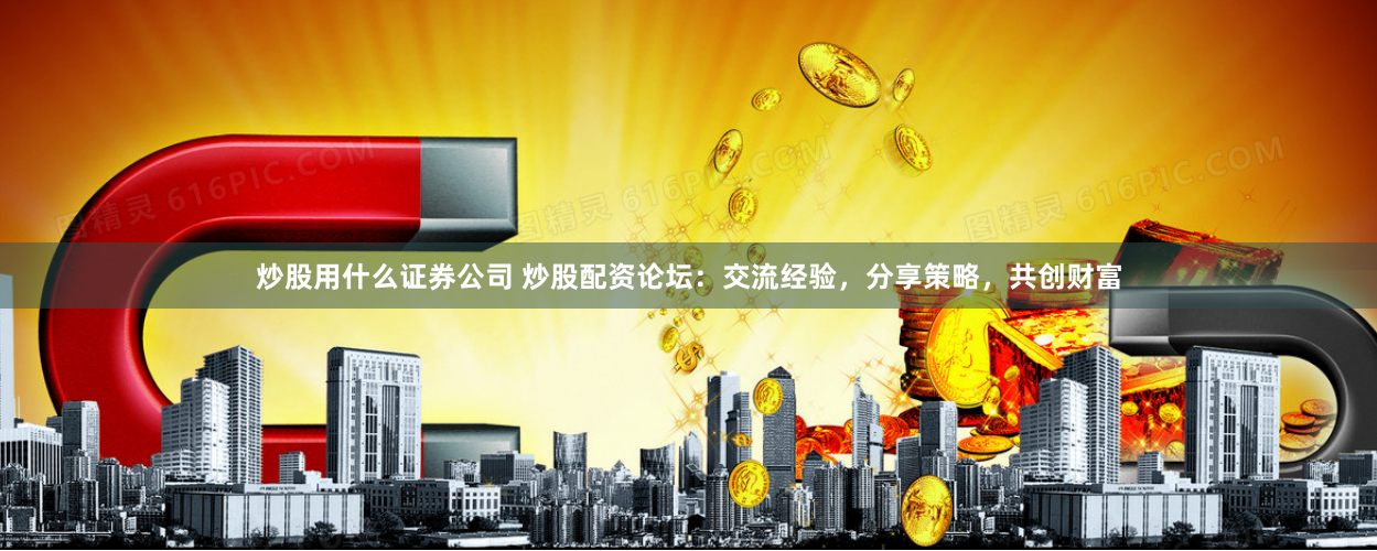 炒股用什么证券公司 炒股配资论坛：交流经验，分享策略，共创财富